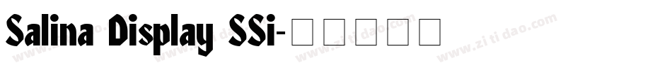 Salina Display SSi字体转换